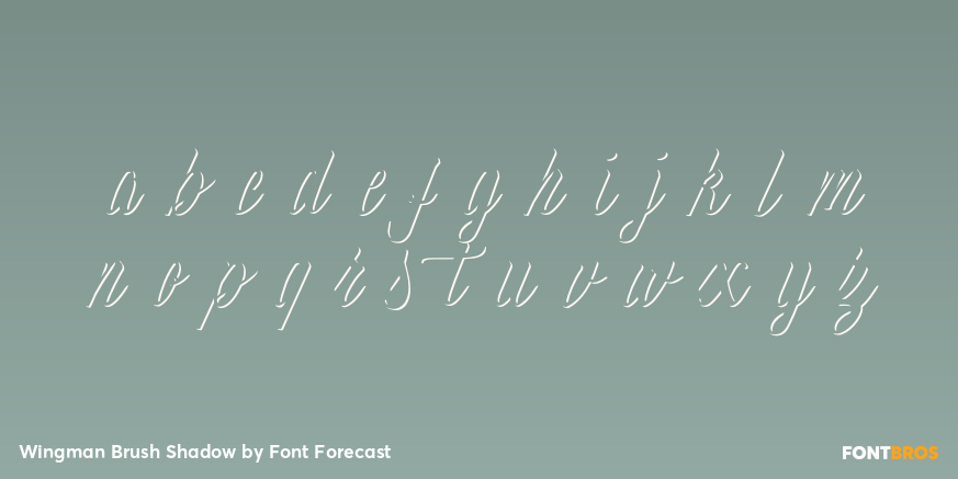 Wingman Brush Shadow Font Poster #3