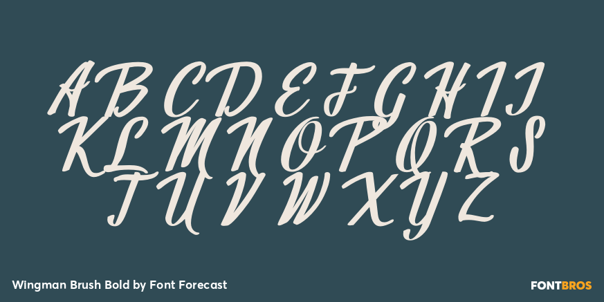 Wingman Brush Bold Font Poster #2