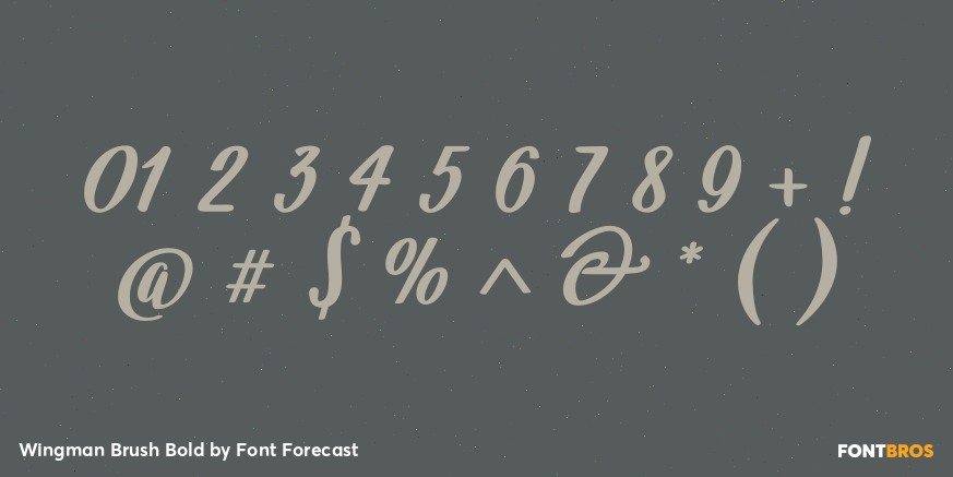 Wingman Brush Bold Font Poster #4