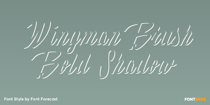 Wingman Brush Bold Shadow Poster