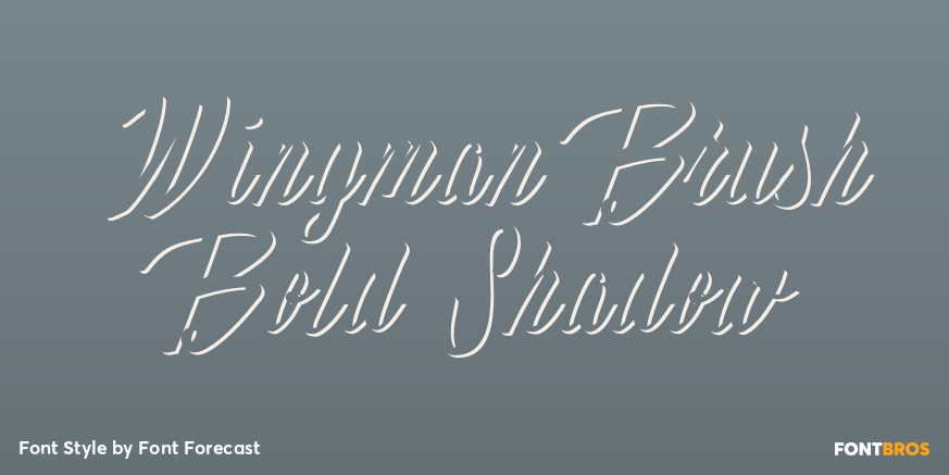 Wingman Brush Bold Shadow Poster