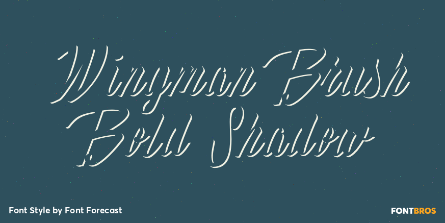 Wingman Brush Bold Shadow Poster