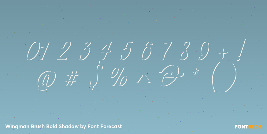Wingman Brush Bold Shadow Font Poster #4