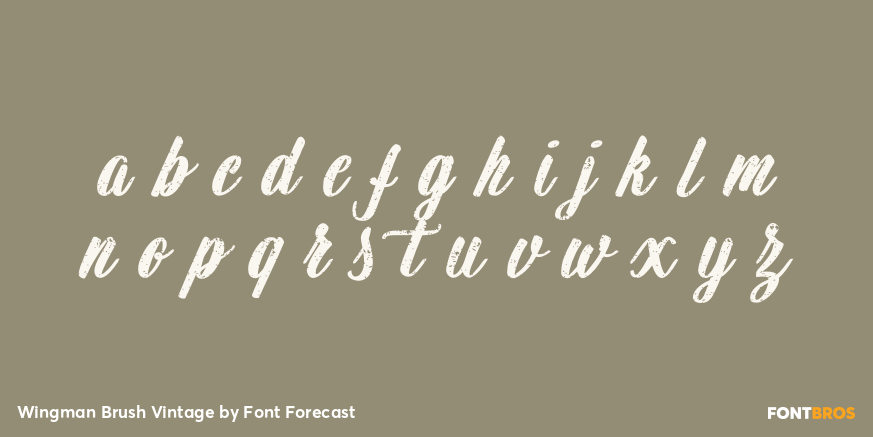 Wingman Brush Vintage Font Poster #3