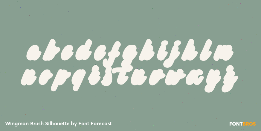 Wingman Brush Silhouette Font Poster #3