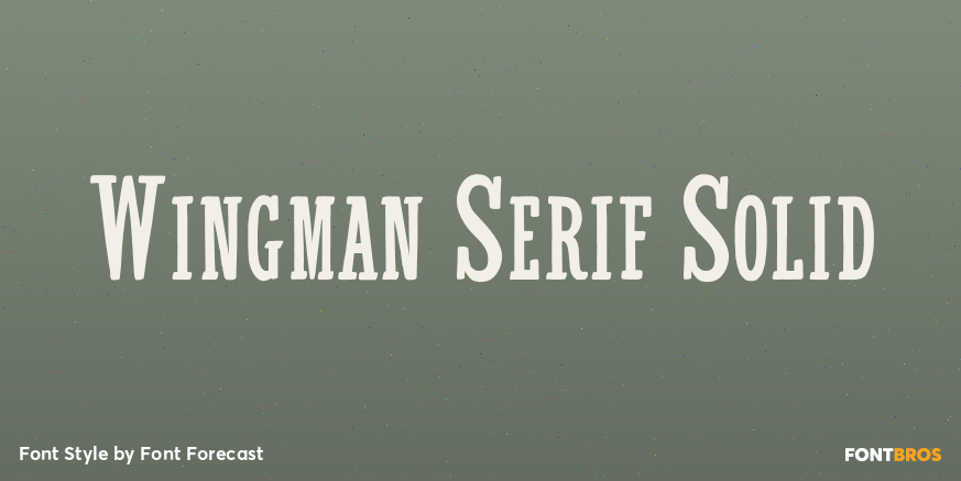 Wingman Serif Solid Poster