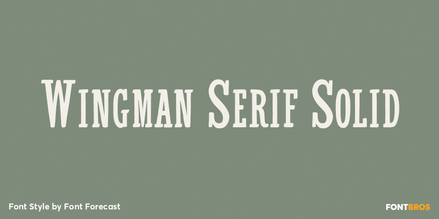 Wingman Serif Solid Poster