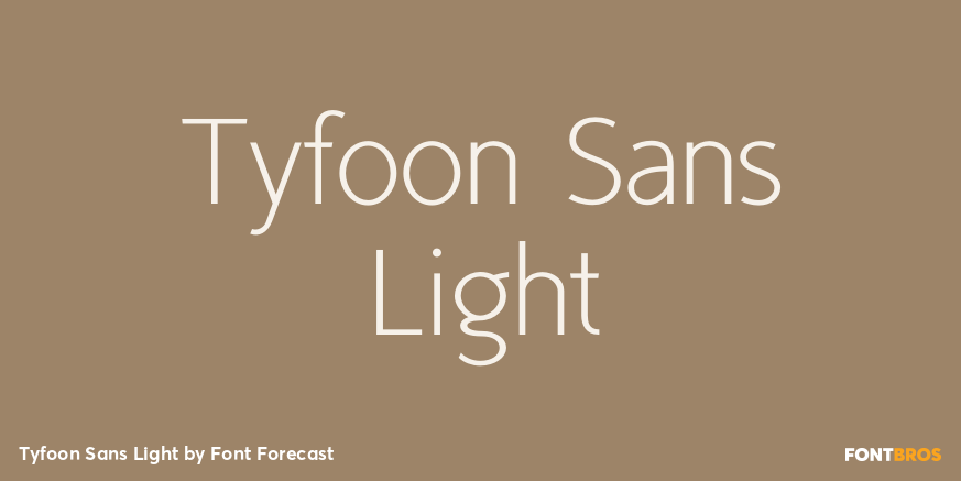 Tyfoon Sans Light Font Poster #1