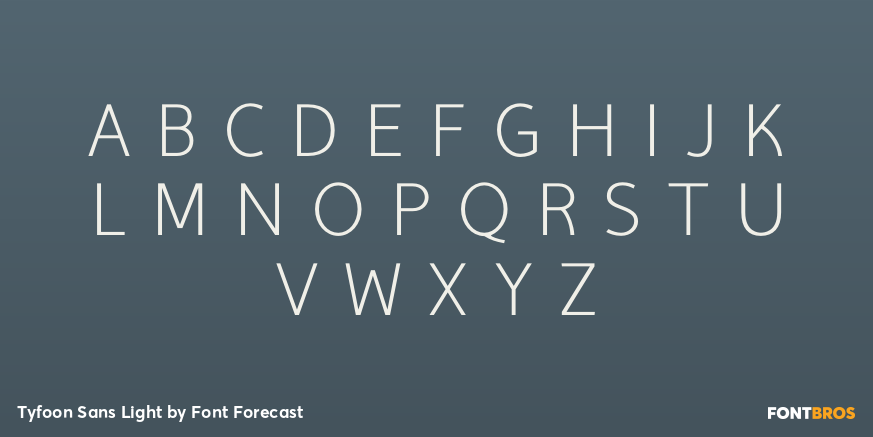 Tyfoon Sans Light Font Poster #2