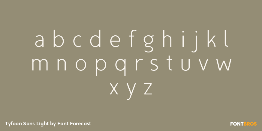 Tyfoon Sans Light Font Poster #3