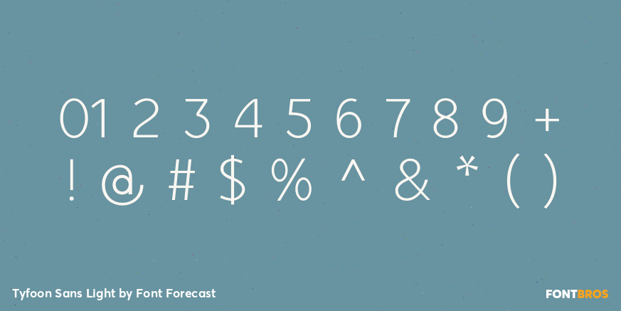 Tyfoon Sans Light Font Poster #4