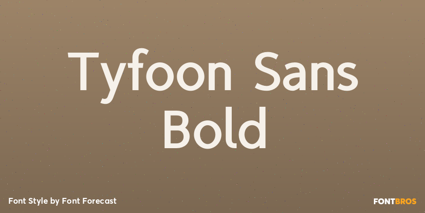 Tyfoon Sans Bold Font Poster #1