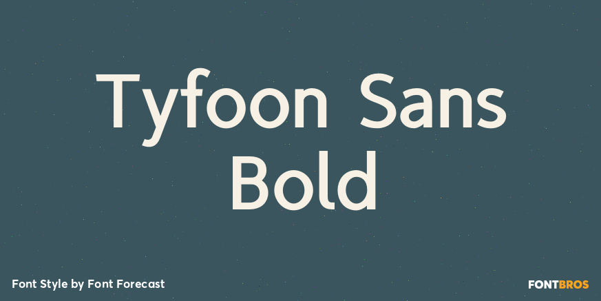 Tyfoon Sans Bold Font Poster #1