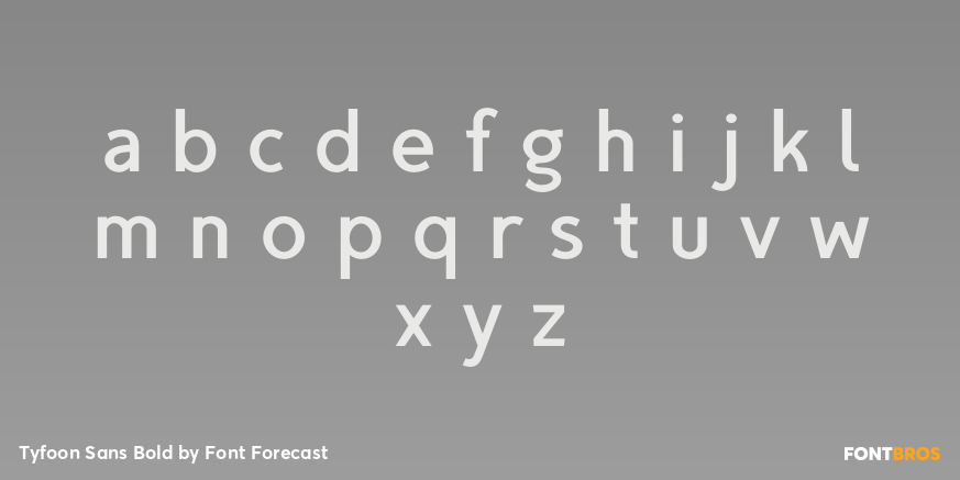 Tyfoon Sans Bold Font Poster #3