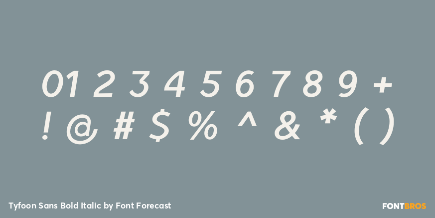 Tyfoon Sans Bold Italic Font Poster #1