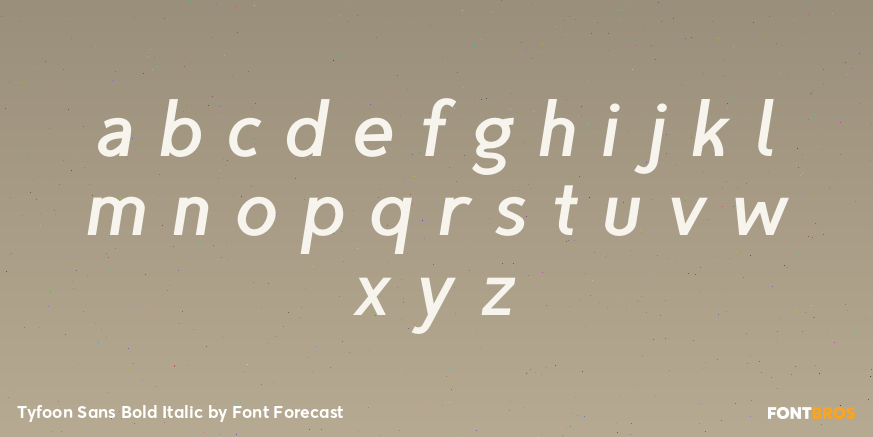 Tyfoon Sans Bold Italic Font Poster #3