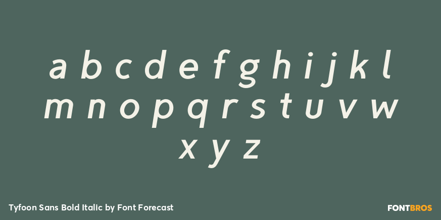 Tyfoon Sans Bold Italic Font Poster #1