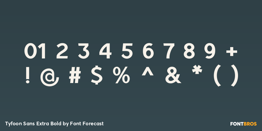 Tyfoon Sans Extra Bold Font Poster #4
