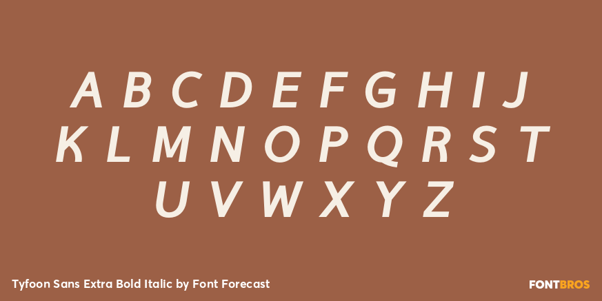 Tyfoon Sans Extra Bold Italic Font Poster #2