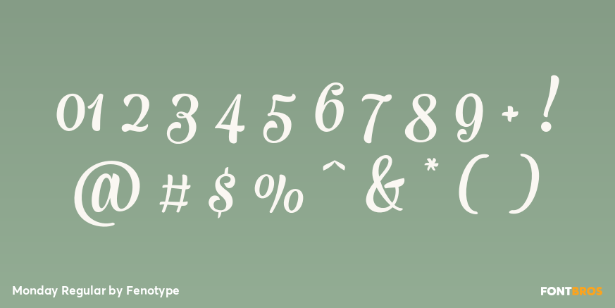 Monday Regular Font Poster #1