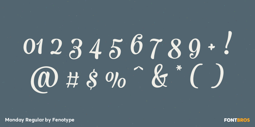 Monday Regular Font Poster #4