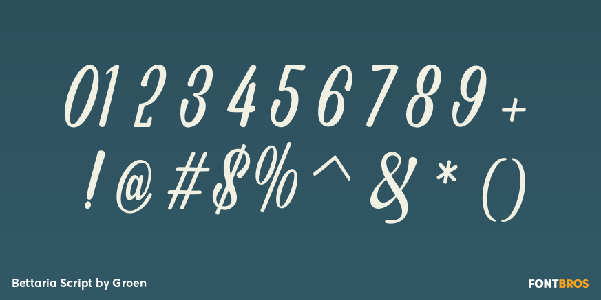 Bettaria Script Font Poster #1