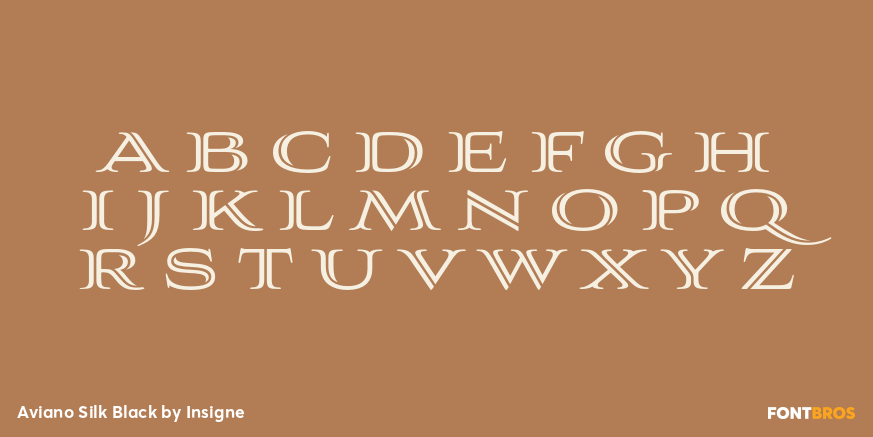 Aviano Silk Black Font Poster #2