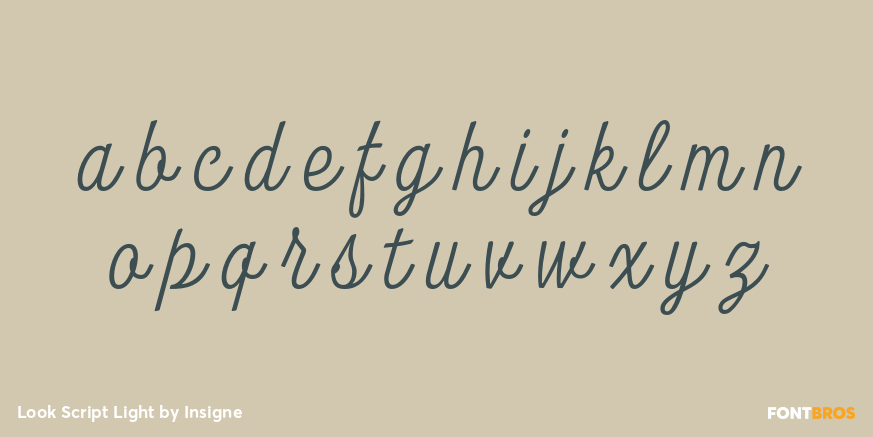 Look Script Light Font Style by Insigne | Font Bros