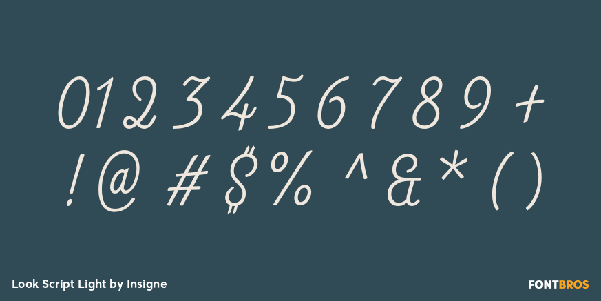 Look Script Light Font Style by Insigne | Font Bros