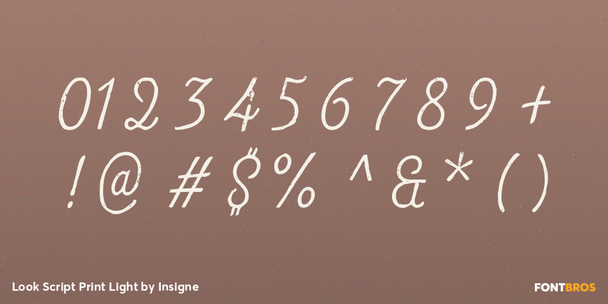 Look Script Print Light Font Poster #4