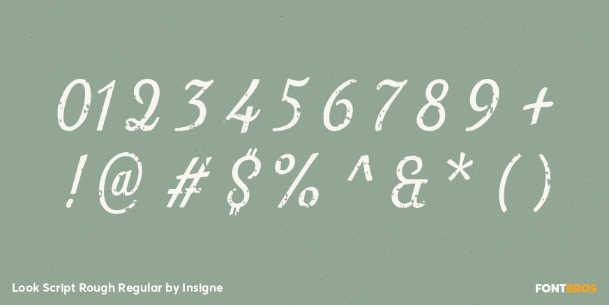 Look Script Rough Regular Font Poster #4