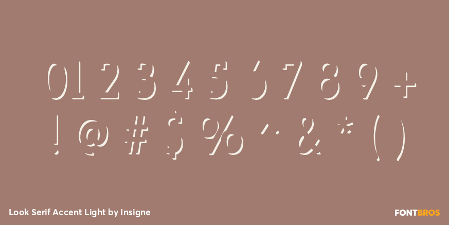 Look Serif Accent Light Font Poster #4