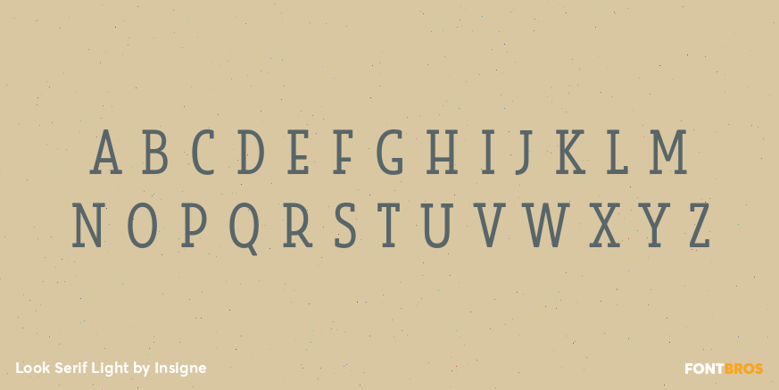 Look Serif Light Font Poster #3