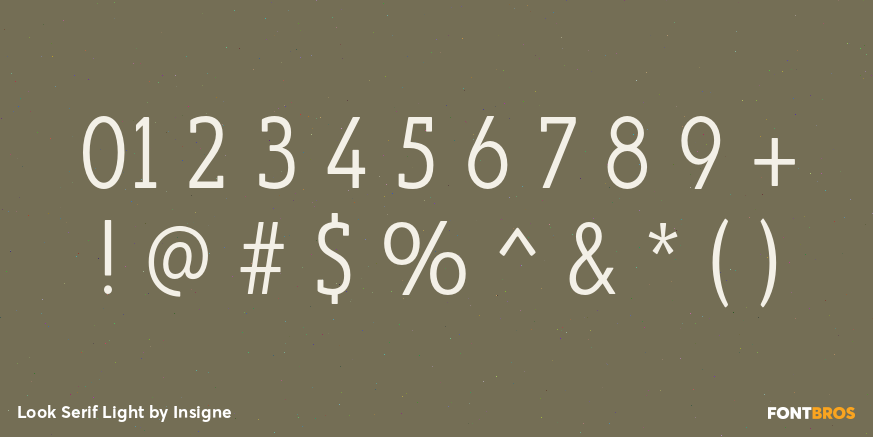 Look Serif Light Font Poster #4