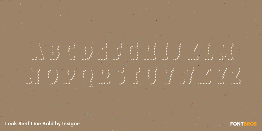 Look Serif Line Bold Font Poster #2