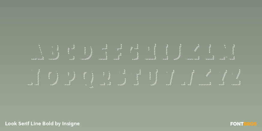 Look Serif Line Bold Font Poster #3
