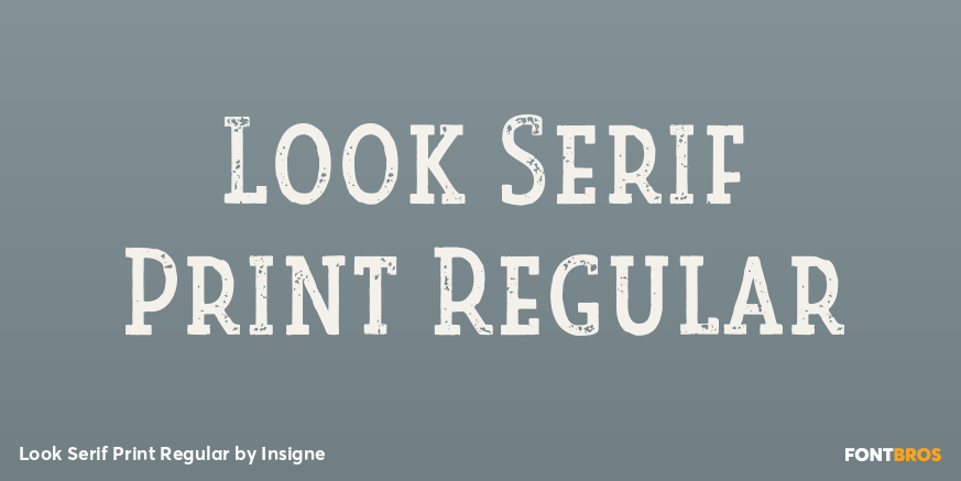 Look Serif Print Regular Poster