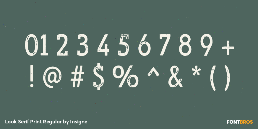 Look Serif Print Regular Font Poster #4