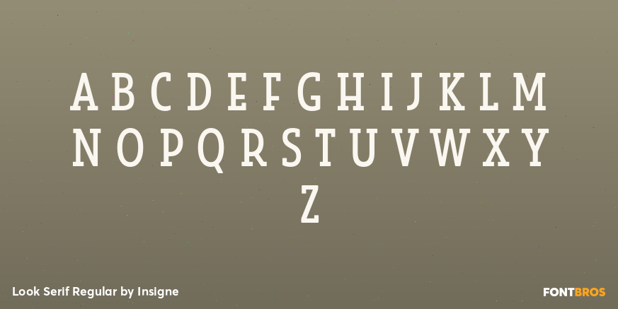 Look Serif Regular Font Poster #2