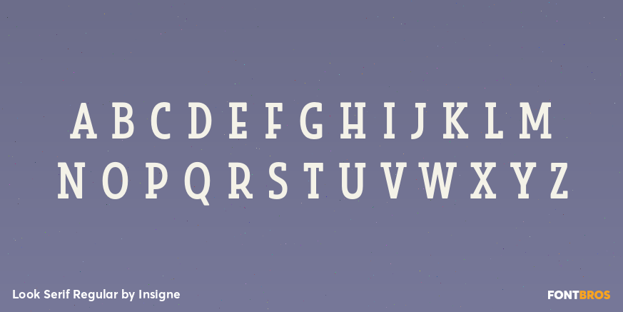Look Serif Regular Font Poster #3