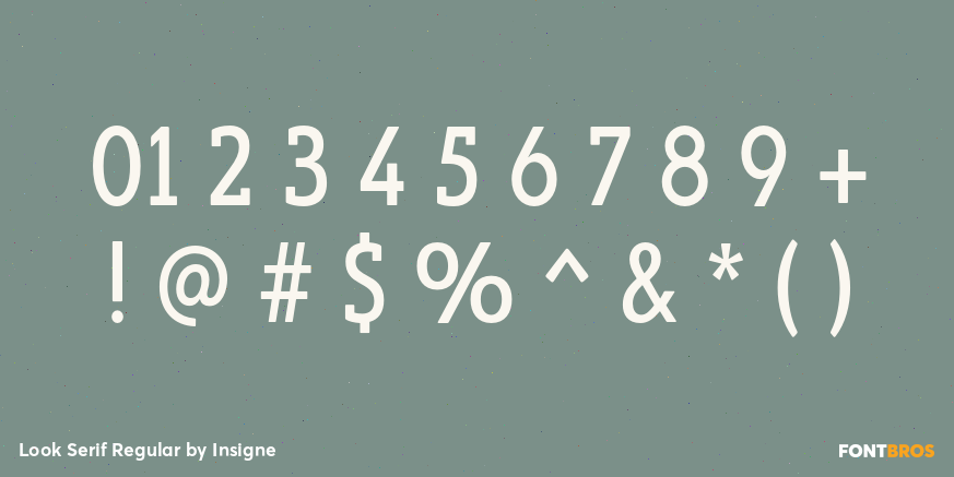 Look Serif Regular Font Poster #4