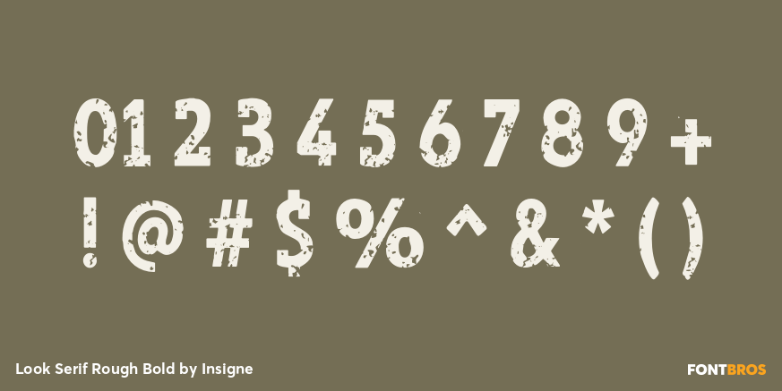 Look Serif Rough Bold Font Poster #1