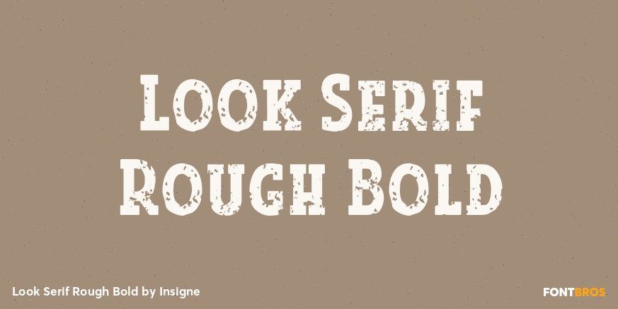 Look Serif Rough Bold Poster