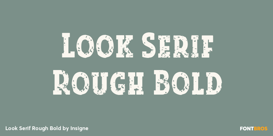 Look Serif Rough Bold Poster