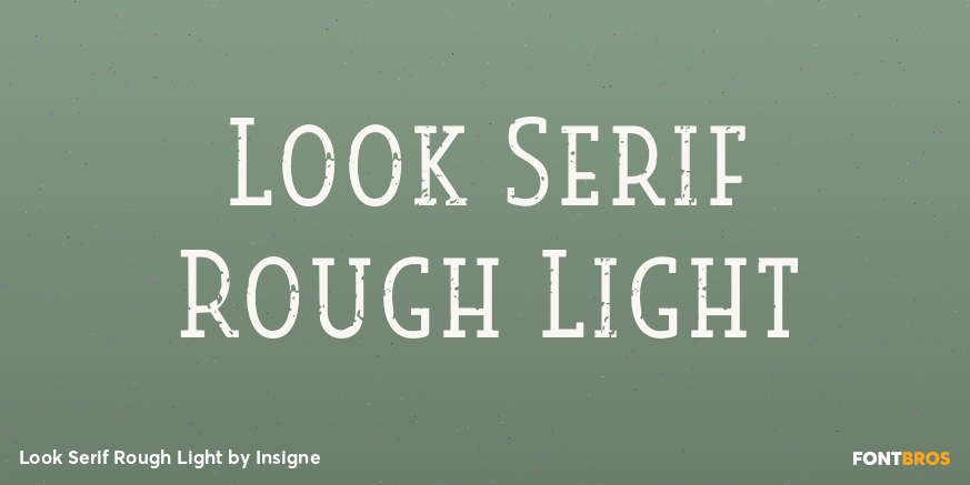 Look Serif Rough Light Poster