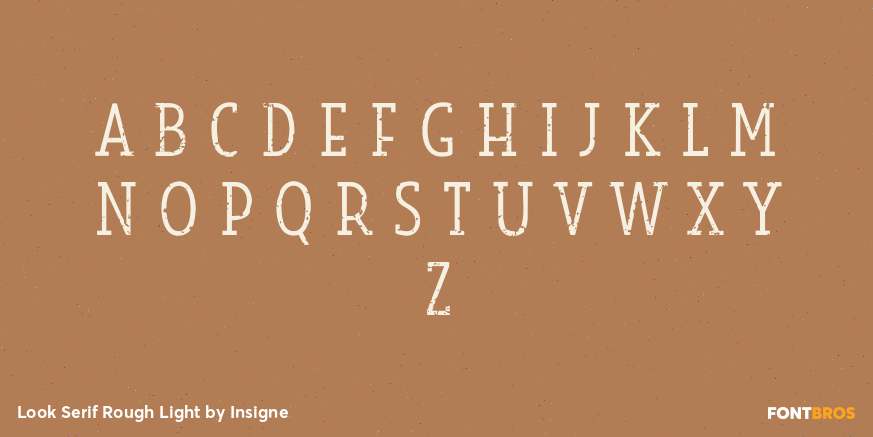 Look Serif Rough Light Font Poster #2