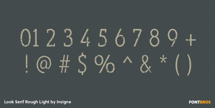 Look Serif Rough Light Font Poster #4