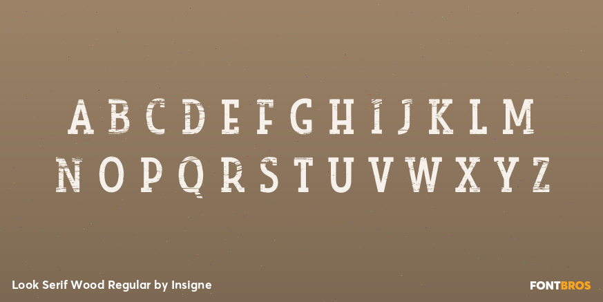 Look Serif Wood Regular Font Poster #3