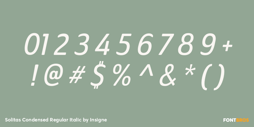 Solitas Condensed Regular Italic Font Poster #1