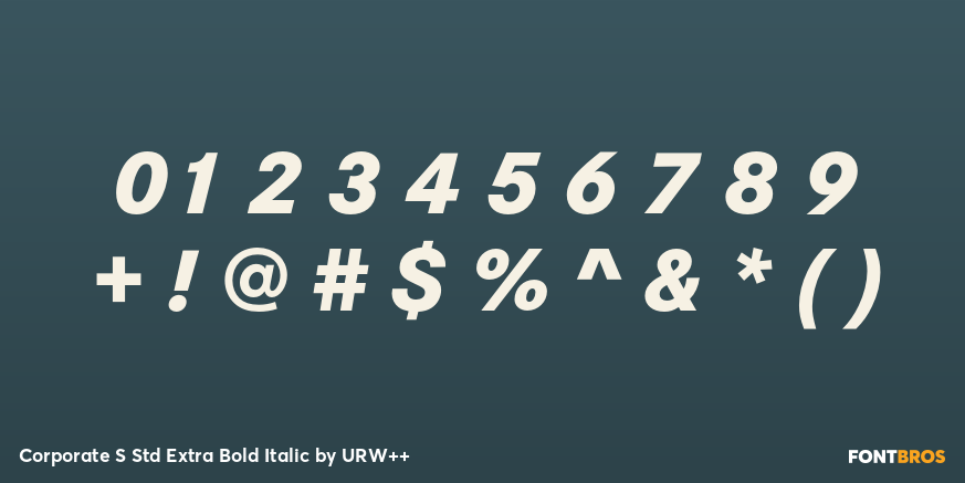 Corporate S Std Extra Bold Italic Font Poster #4